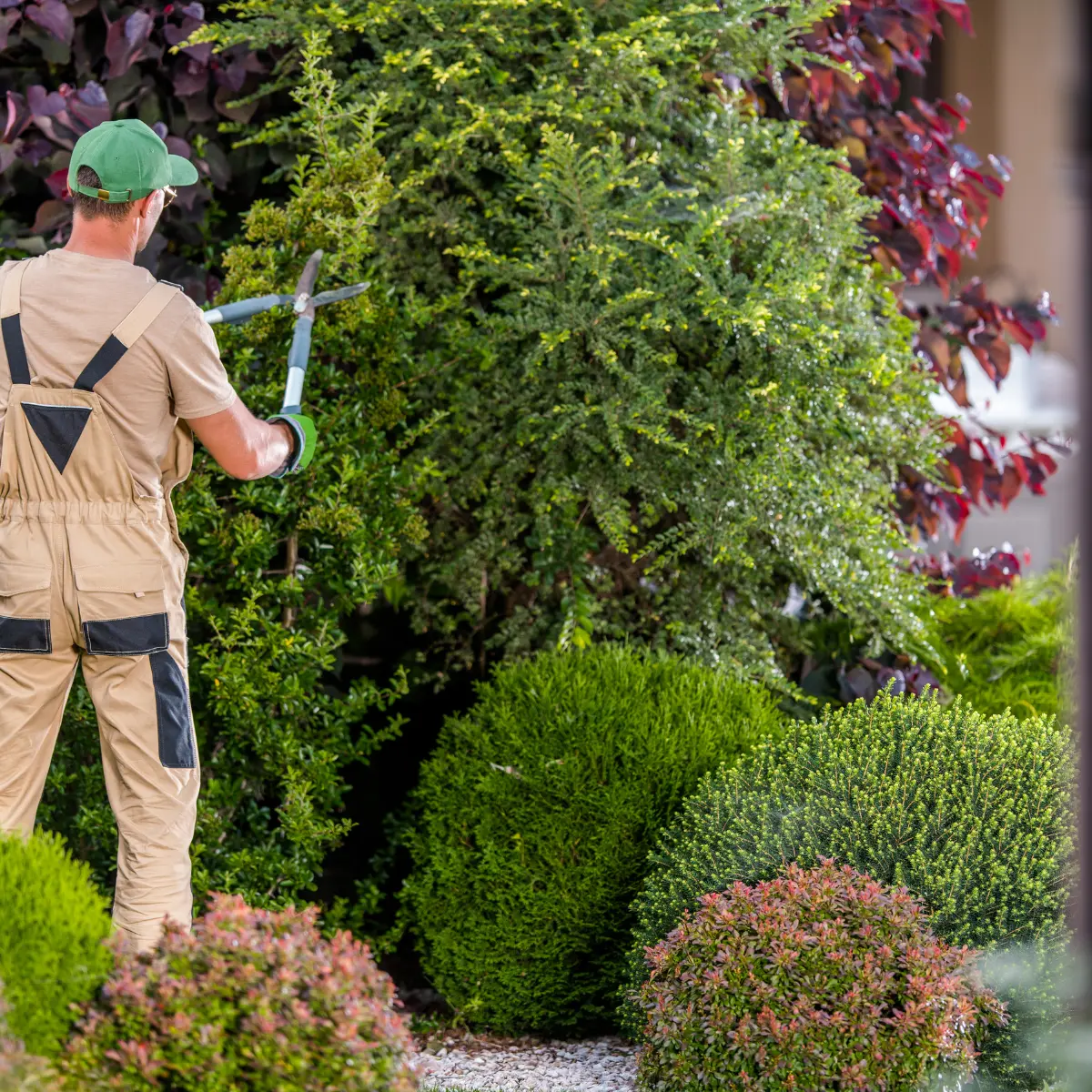 VAVION Mitarbeiter mäht den Rasen im gepflegten Privatgarten